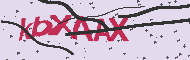 Captcha認証コード