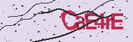 Captcha認証コード